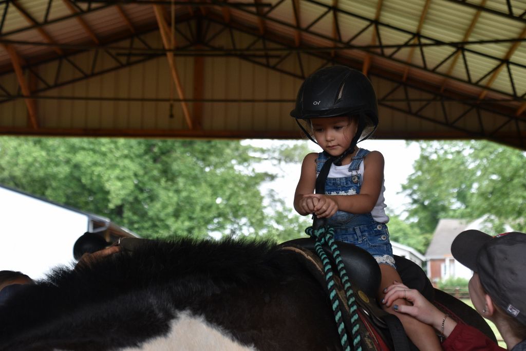 mimosa farm 2019 045 (1024x683).jpg